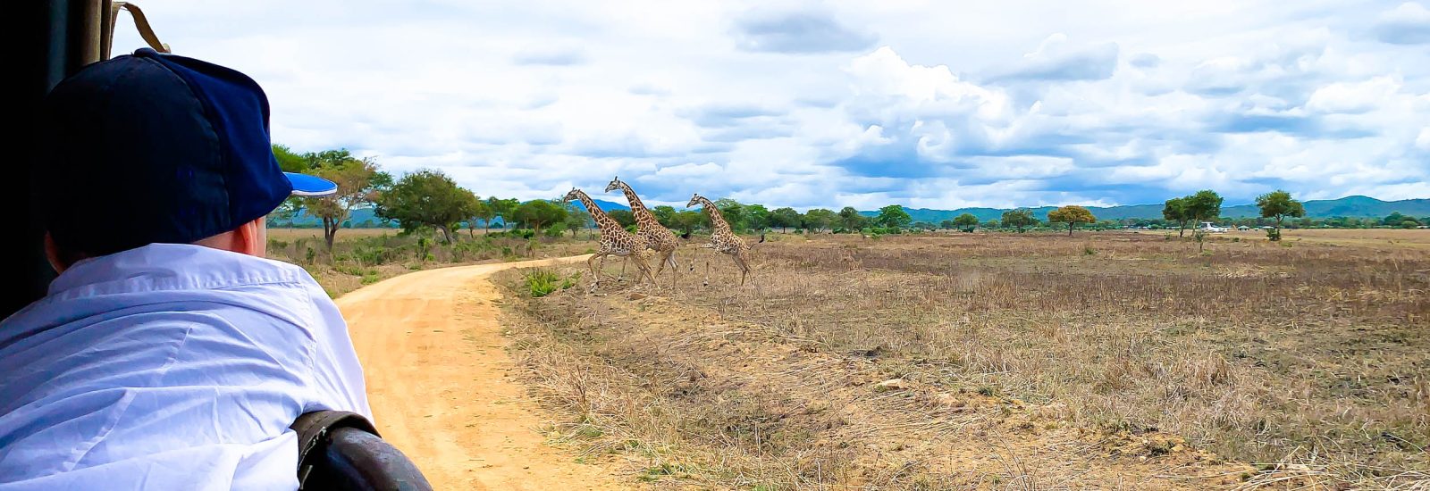 Mikumi National Park
