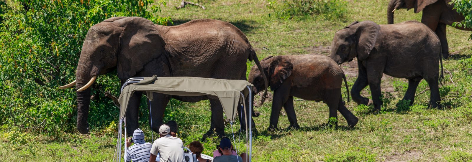 Nyerere National Park