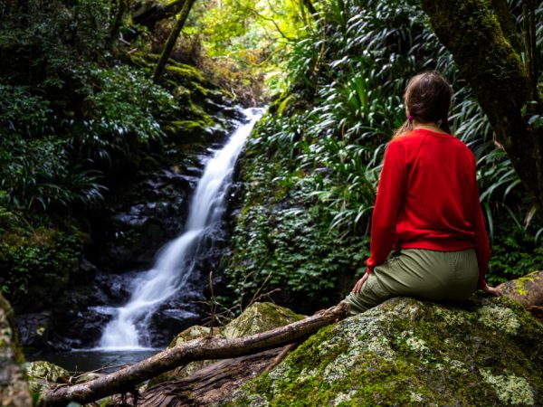 6 Days Kilimanjaro Machame Route