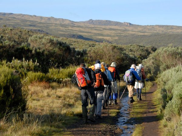 6 Days Kilimanjaro Machame Route