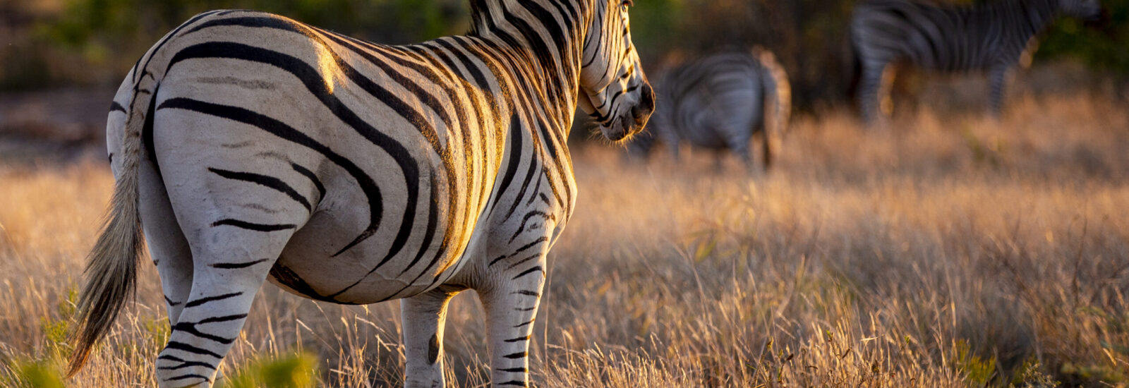 Lake Nakuru National Park