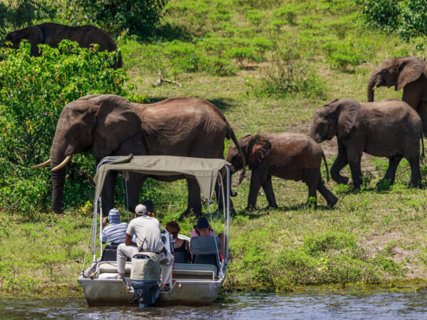 3-Day Murchison Fall Expedition Rhinos Chimp Game Drives